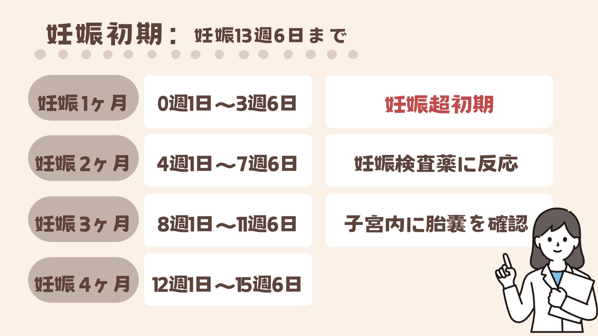 妊娠週数とその時期の特徴