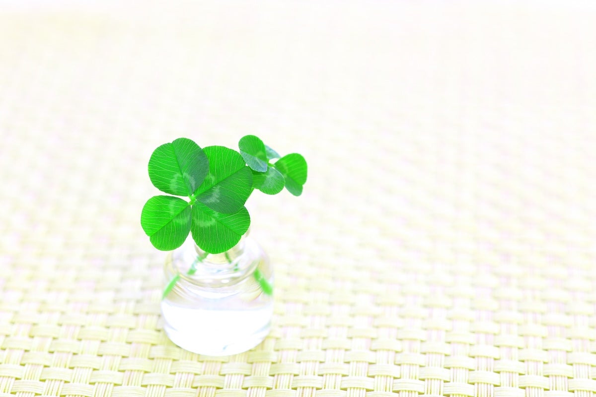 世界中で研究が進められている段階、ビタミンDだけが関与しているわけではありません