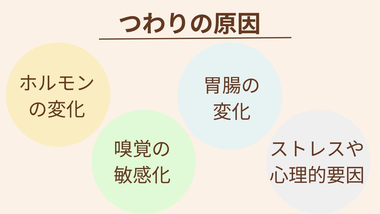つわりのはっきりとした原因はまだ解明されていません