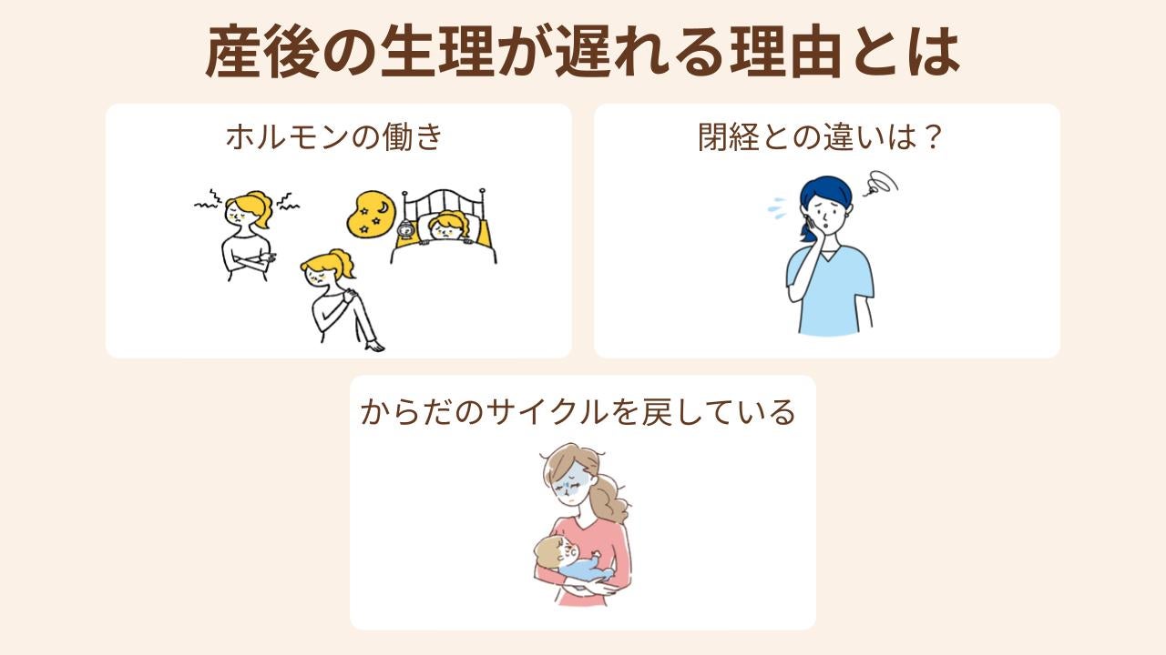 産後の生理が遅れる理由はホルモンの働き