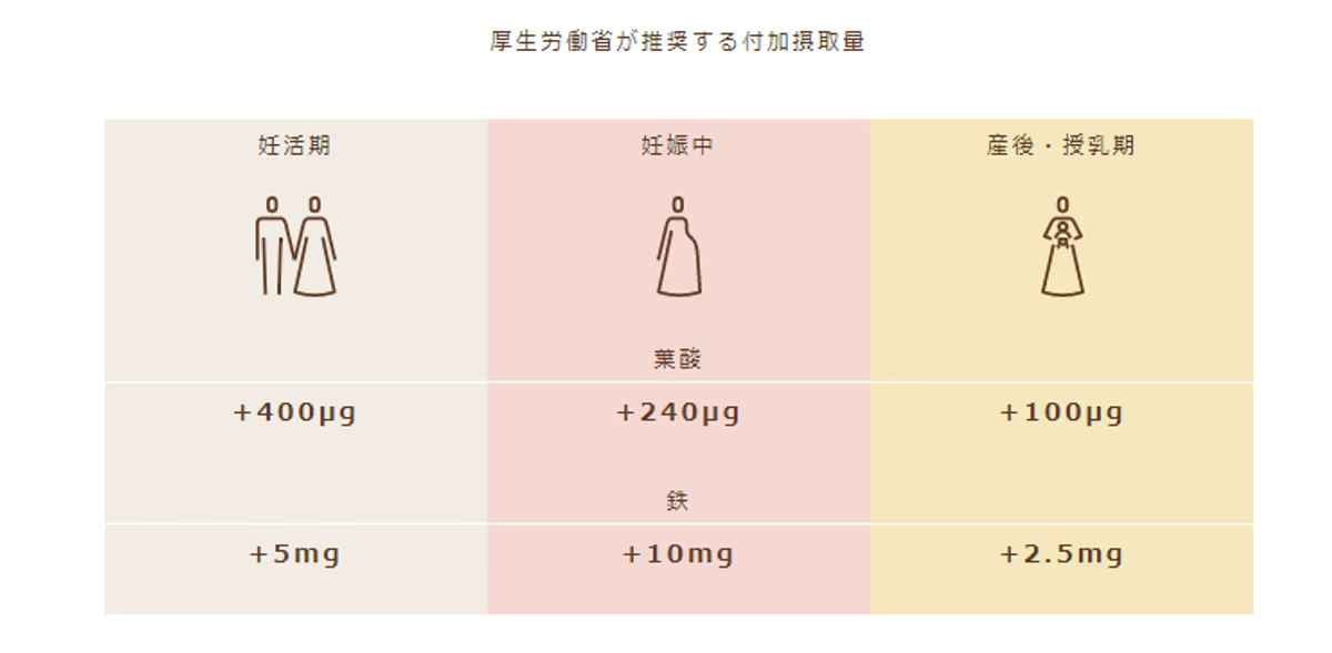 厚生労働省が定める栄養摂取量は妊活～産後の時期ごとにそれぞれ異なる