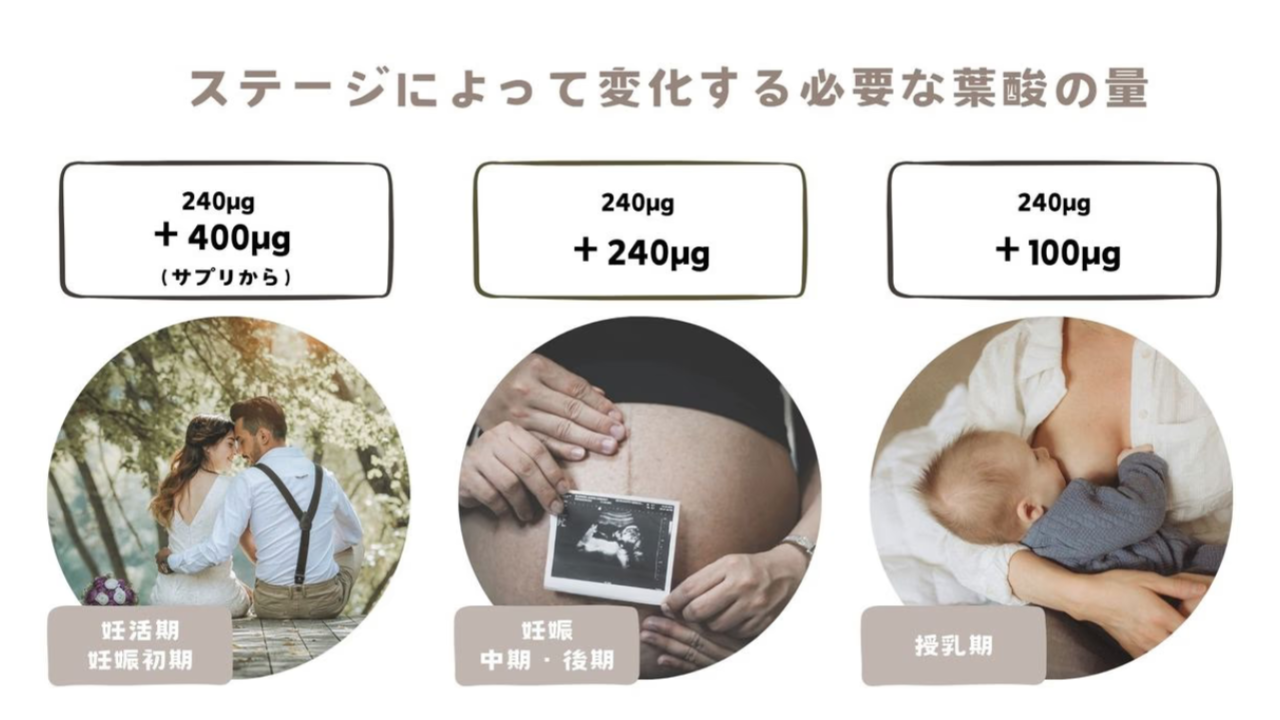 ステージによって変化する必要な葉酸の量