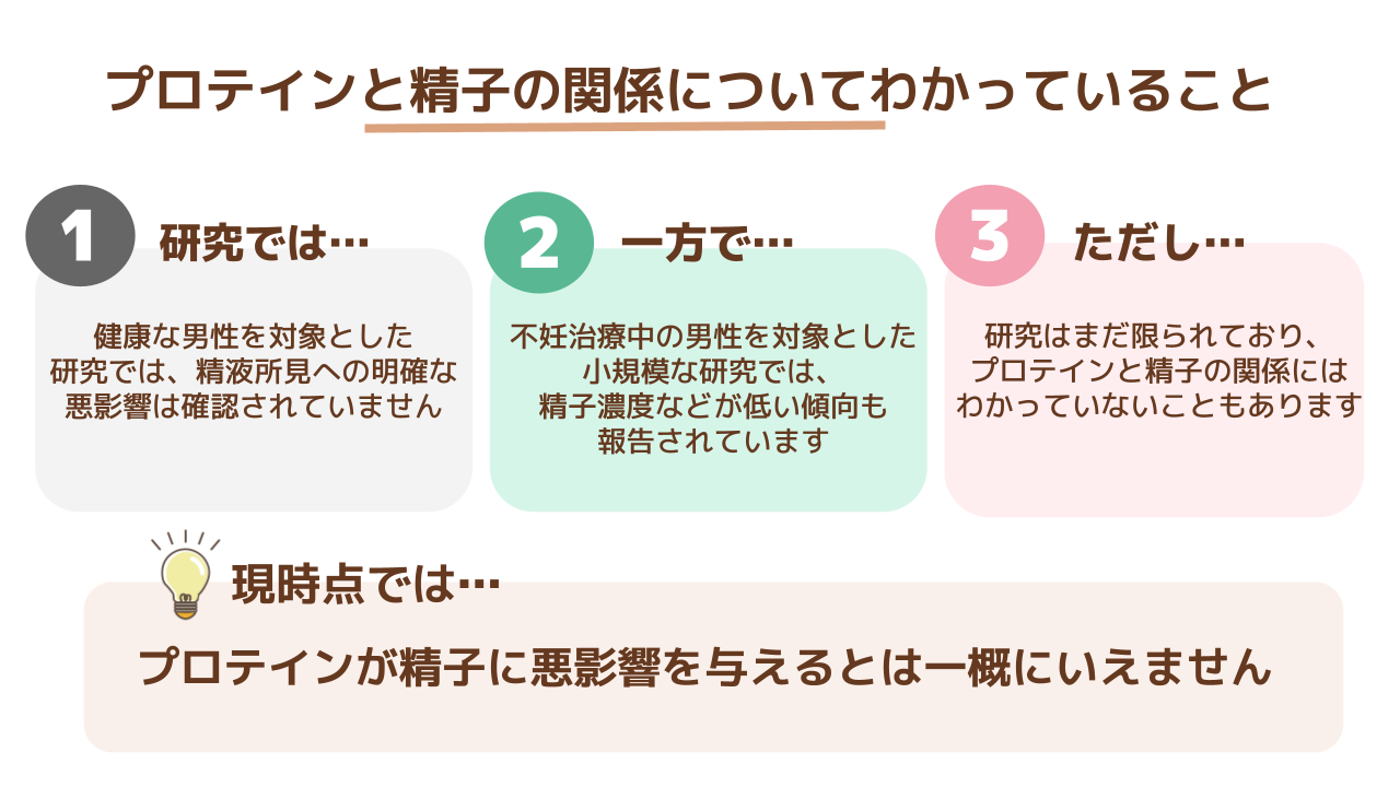 プロテインと精子の関係についてわかっていること