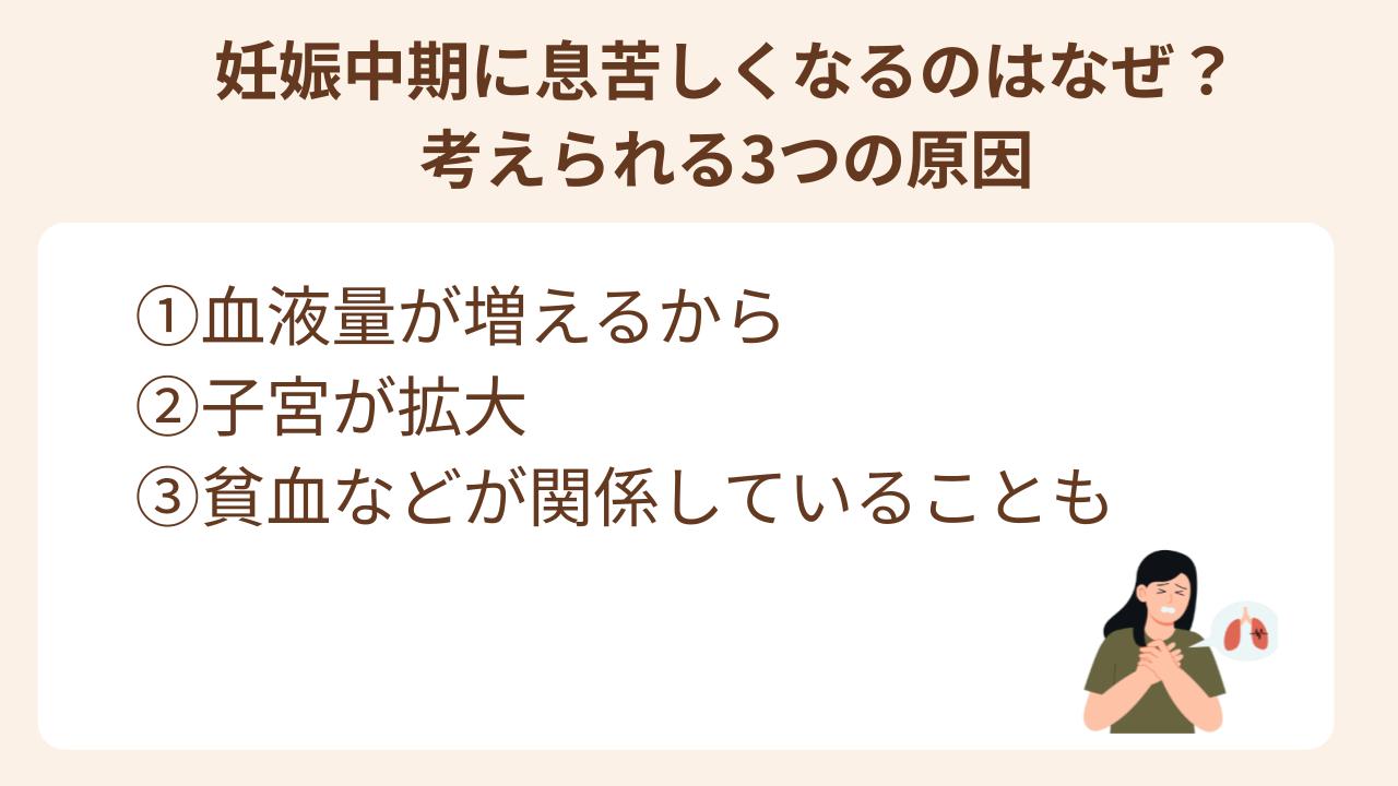 妊娠中期の息苦しさには、妊娠に伴う身体の変化が関係しています。主な原因として考えられるのは「血液量の増加」「子宮の拡大」「貧血」の3つ