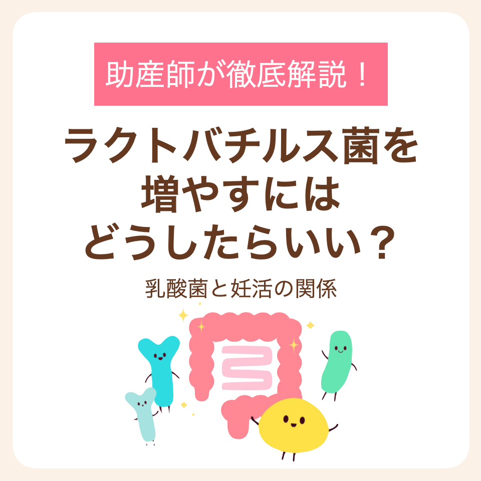 乳酸菌と妊活の関係を助産師が徹底解説!